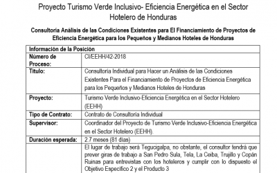 Consultoría Análisis de las Condiciones Existentes para El Financiamiento de Proyectos de Eficiencia Energética para los Pequeños y Medianos Hoteles de Honduras